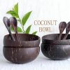 4PCS Natural Coconut Bowl Dinnerware Set with Handmade Spoon – Perfect for Desserts, Fruit Salad, and More | Eco-Friendl | Wooden Utensils Kitchen & Dining Wooden Utensils