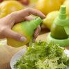 Citrus Sprayers | Kitchen Organizers Kitchen & Dining Kitchen Organizers