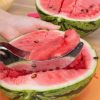 Stainless Steel Watermelon Fast Slicer | Fruit Slicers Fruit Slicers Fruit Slicers