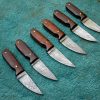 Superior Damascus Steak Knife Set , Hand Made Damascus Steel Kitchen Steak Knife | Knives Kitchen & Dining Knives